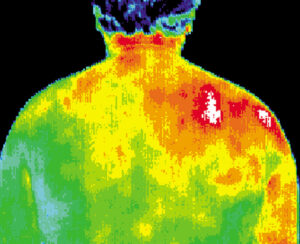 Understanding human body temperature in infrared thermal readings